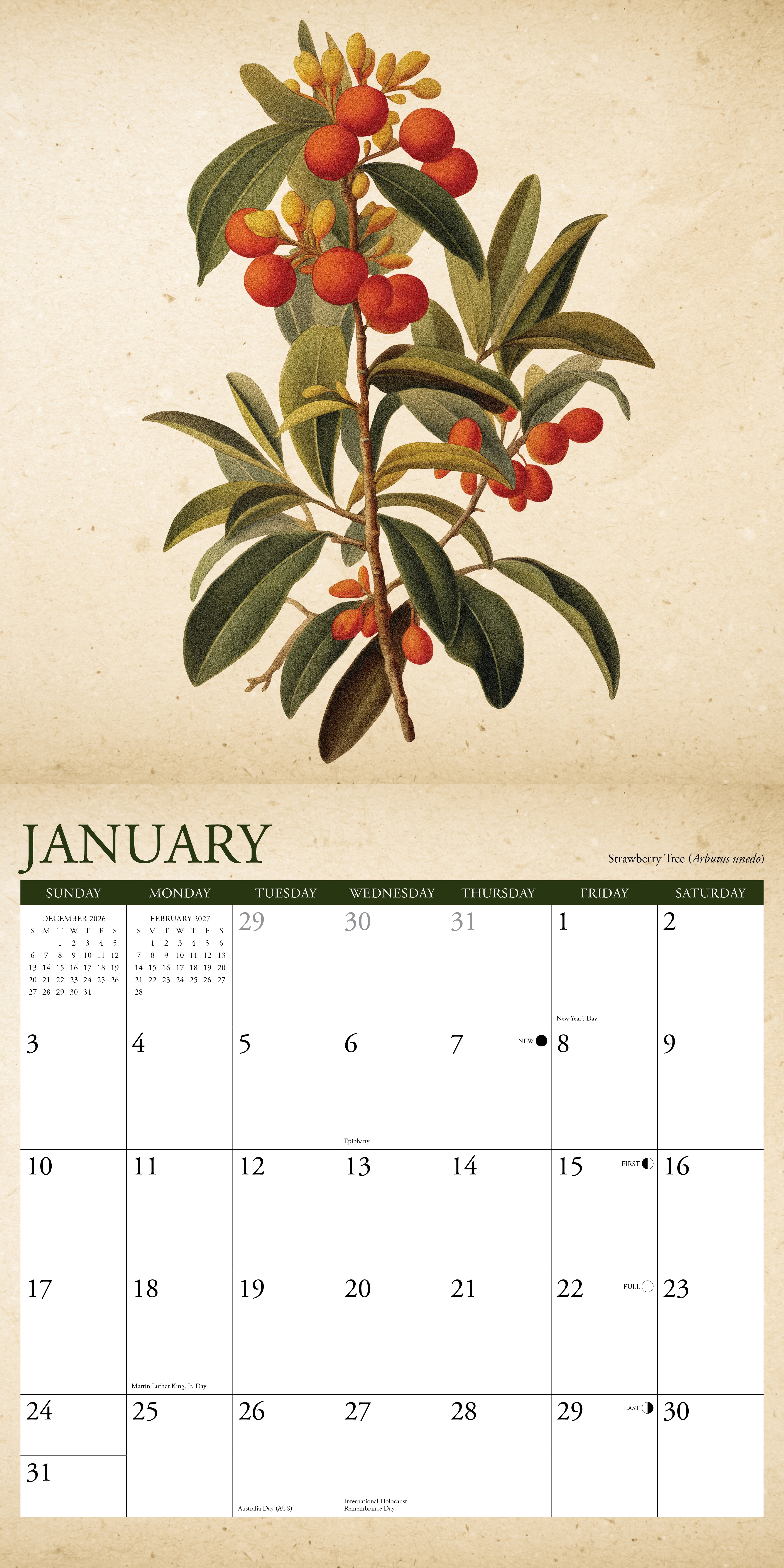 Willow Creek Press, Farmer's Market 2027 Wall Calendar