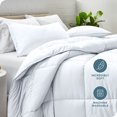 thumbnail image 2 of Ensemble de Couette Alternative - 2 Pcs - Toutes Saisons - Simple/Simple-TG, Blanc, 2 of 8
