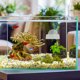 thumbnail image 1 of Hytrove Adorno Para Acuario Con Y Hoja Para Betta Hecho Con Materiales Seguros, 1 of 8