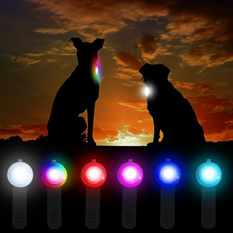 Dog top tag light