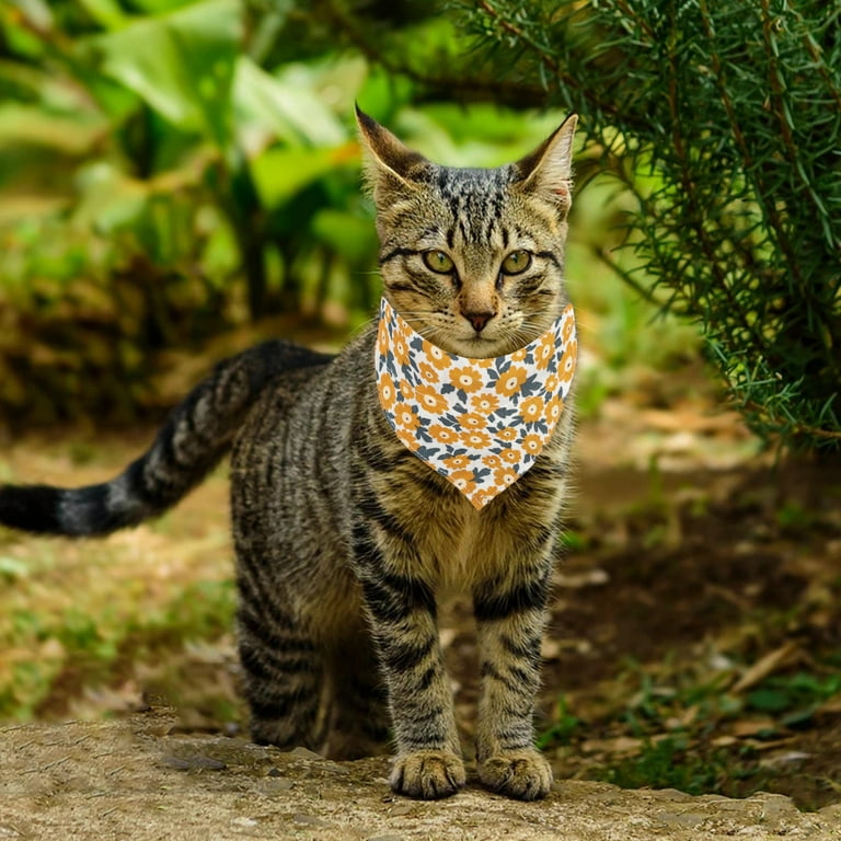 Personalized Floral Break-Away Cat Collars
