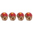 thumbnail image 1 of Tapas de Válvula de Neumático ANGGREK 4 Piezas Forma de Calavera, 1 of 8