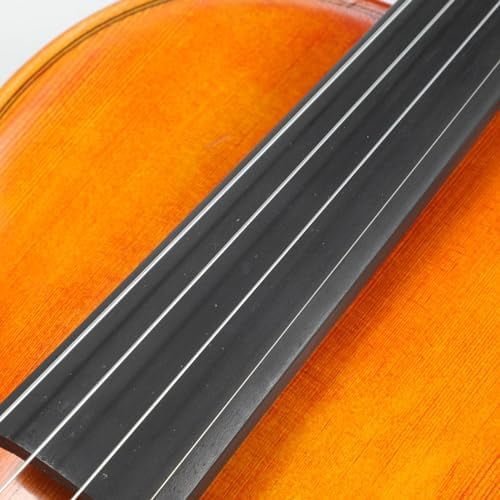 Violin Strings,Violin Strings 4/4 Full Set, Medium Tension - Solid Steel Core, Warm Tone, Economical and Durable – For All Levels