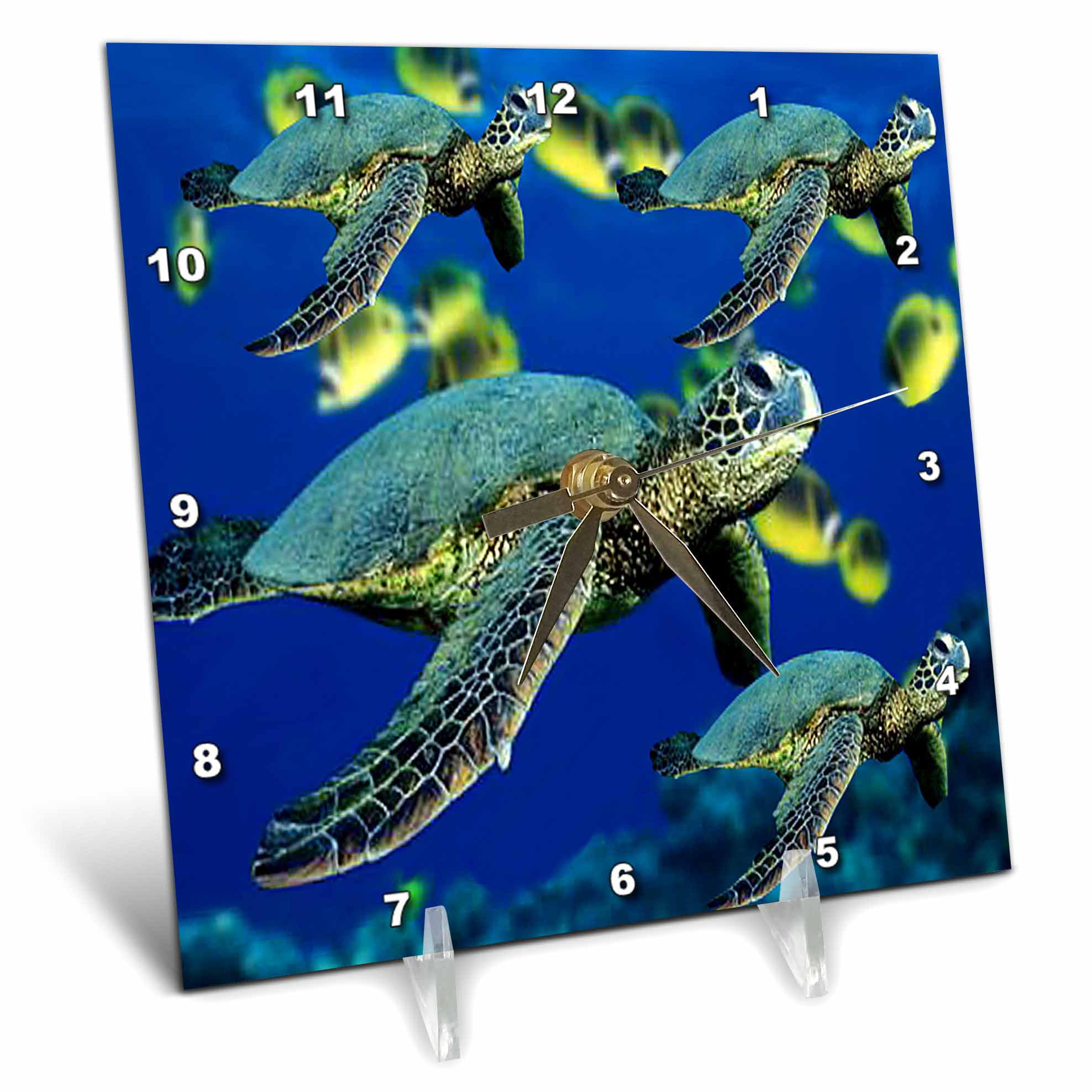 3dRose dc_31279_1 Cute Sea Turtle Design Green Stripe-Desk Clock 6 by 6-Inch 