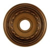 Elk Home - Campione - Medallion in Traditional Style with Victorian and Vintage