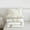 Marble 02, variant on Feelyou Luxury Abstract Ombre Queen Comforter Set, Black White Stripes Bedding Sets, Chic Marbling Stripes Reversible Bedding Comforter Set, Breathable Home Decor, 3-Piece