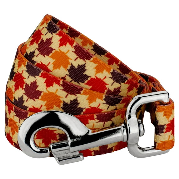 Country Brook Design® 1 inch Nature Walk Dog Leash - 6 Foot