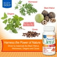 thumbnail image 5 of Body Gold Parazide Clenz Herbals & Peppermint | Intestinal Cleanse & Detox w/ Black Walnut & More | 30 Serv, 60 Tablets, 5 of 6
