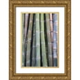 thumbnail image 1 of Murdock, Ramona 13x18 Gold Ornate Wood Framed with Double Matting Museum Art Print Titled - Bamboo Fence, 1 of 4