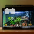 thumbnail image 4 of COMPUKAS Transparent Hydroponic Fish Wall Mounted Aquarium Plant Holders for Home Decor, 4 of 8