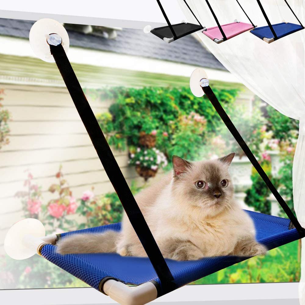 The 12 Best Cat Window Perches Your Feline Will Be Obsessed With Daily
