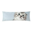 thumbnail image 1 of YUSDECOR Scottish fold cat Body Pillow Pillowcase Pillow Protector Cushion Cover 20x60 Inch, 1 of 1