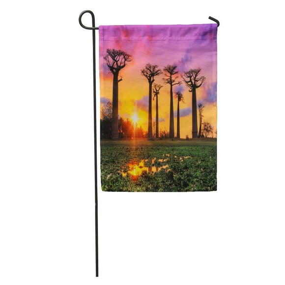 POGLIP Beautiful Baobab Trees at Sunset The Avenue of in Madagascar Garden Flag Decorative Flag House Banner 12x18 inch