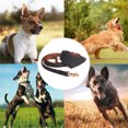 thumbnail image 5 of Dog collars and bands and owner friendship bracelets, 5 of 5