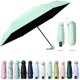 thumbnail image 1 of Sun Umbrella Folded Ultra-light Six-bone With Box Sun Protection UV Protection Sun Shade Sunshine Rain Dual Purpose Great for Travel Girls and Women, 1 of 5