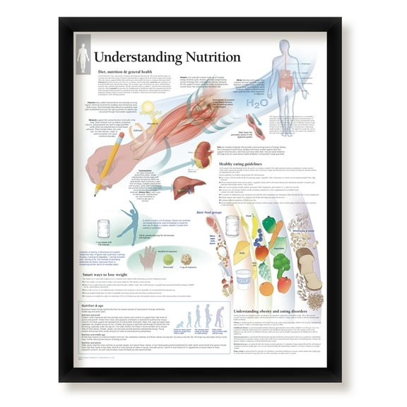Understanding Nutrition Framed Medical Educational Informational Poster Diagram Doctors Office School Classroom 22x28 Inches