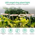thumbnail image 3 of Tignapoo Lumière de Croissance des Plantes à LED Réglable à 360° Alimentée par USB 4.8W avec 80 LED, Minuterie 8H/12H/16H, Spectre Rose-Violet pour Plantes d'Intérieur, Succulentes et Semis, 3 of 6