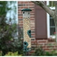 thumbnail image 4 of Ashman 2-Piece Tube Feeders, Durable Plastic, Spacious Design, Attractive & Long Lasting, with Sunflower Black Oil Seeds, Green, 4 of 9