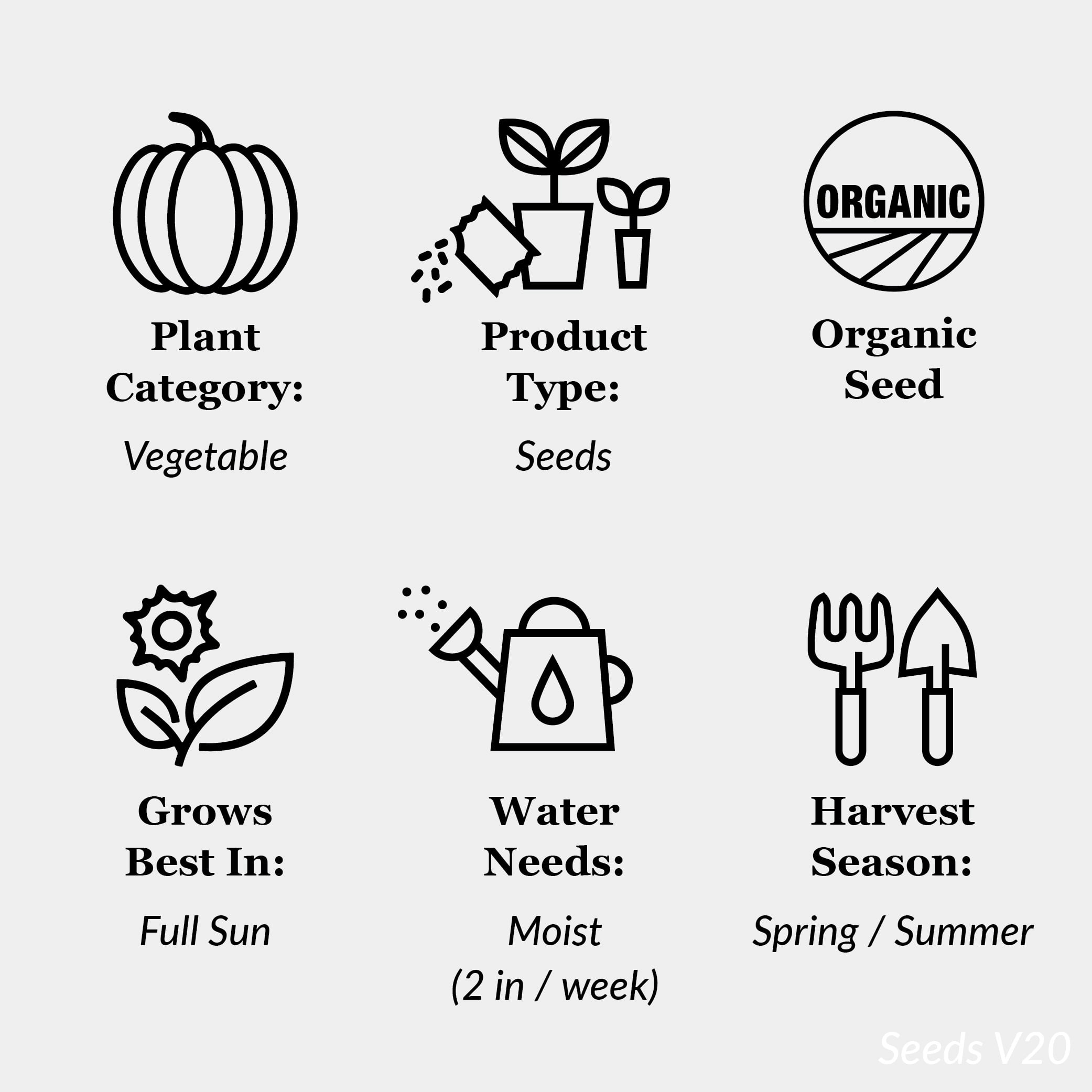 Ferry-Morse Organic 500MG Onion Walla Walla Sweet Perennial Vegetable Seeds, Full Sun
