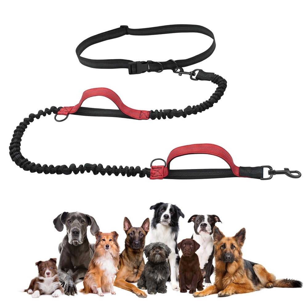 Jogging,Training for Medium and Large Dogs up to 150 lbs Hiking Walking Chunky Paw Hands Free Dog Leash for Running Durable Dual Handle Waist Leash with Reflective Bungee and Adjustable Waist Belt 