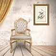thumbnail image 3 of Audubon, John James 16x24 Gold Ornate Wood Framed with Double Matting Museum Art Print Titled - Prothonotary Warbler, 3 of 4