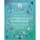 thumbnail image 1 of La Magia de la Numerología VR Editoras Carolyne Faulkner, 1 of 2