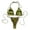Army Green, variant on Women's Halter Top and Micro Thongs Set Two Pieces Bikini Velvet Bathing Suits
