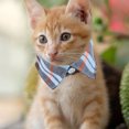thumbnail image 4 of FUTUREORYY 2Pcs Adjustable Cat Collar with Bell Soft Cloth Material Safe for Pets, 4 of 6