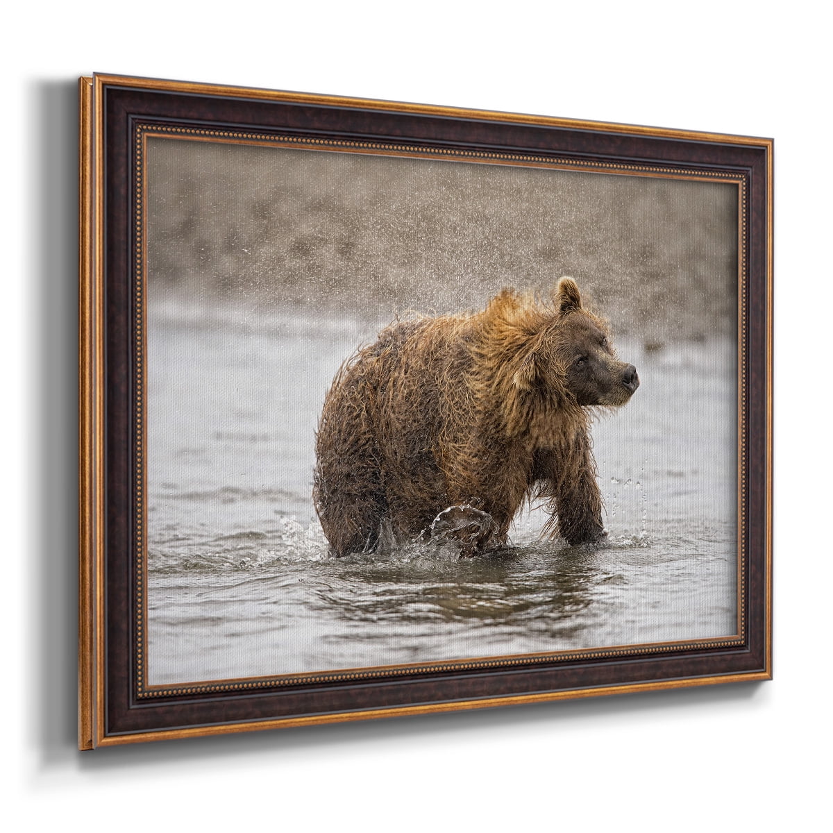 Photography Study Shake it Off Premium Framed Canvas- Ready to Hang