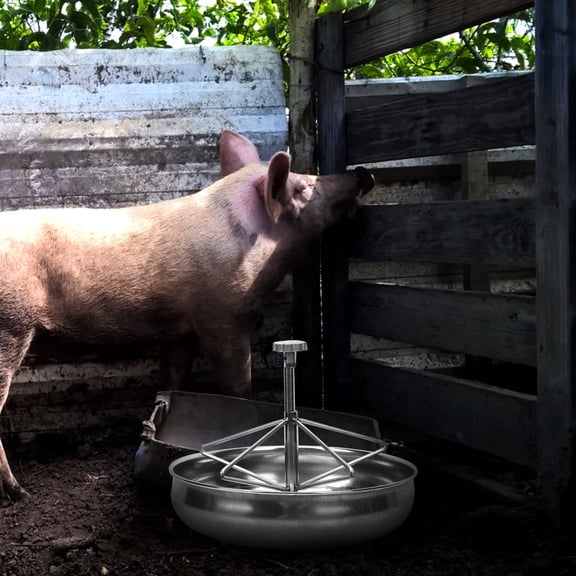 Amosfun Plated Silver Stainless Steel Piglet Feeder Bowl Thickened Design for Storage 1Pc