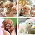 thumbnail image 4 of Robot Puppy My Realistic-Robot Puppy Electronic Interactive Dog-Walking Barking NEW, 4 of 7