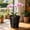 Black A, variant on Gallickan Breathable Clear Orchid Pot, Plastic Planter with Drainage Holes and Tray, Root Control Container for Indoor Phalaenopsis, 8in, White, Style B