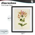 thumbnail image 4 of Stupell Industries Cottage Honeysuckle Vintage Illustration Black Framed Print Under Glass, 13 x 16, by Connie Resch, 4 of 8