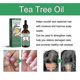 thumbnail image 3 of Rosemary Mint Hair Concentrate Hair Thick Hair Solid Hair Hand Foot Nail Care, 3 of 4