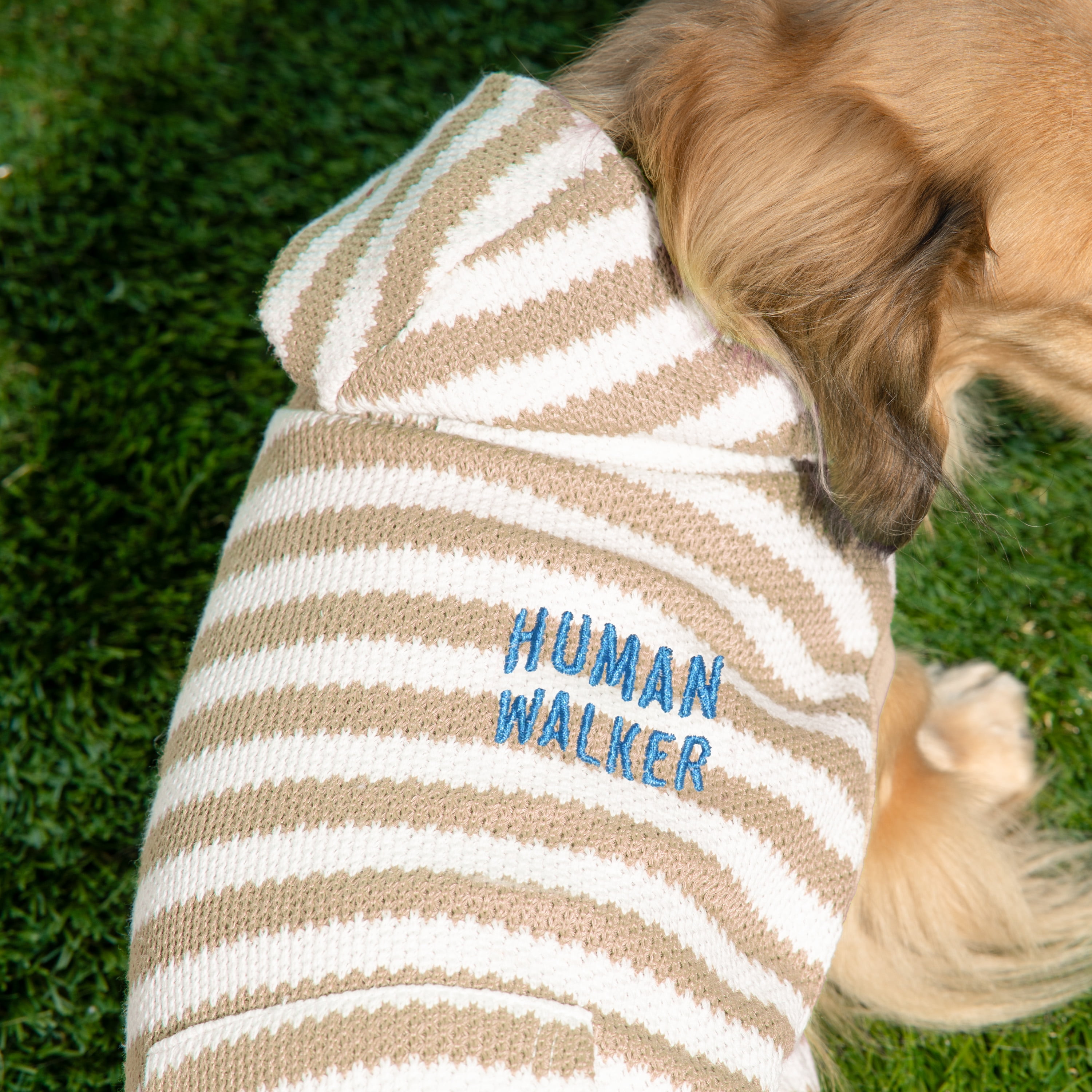 Oodles Tan Human Walker Striped Spring Bubble Hem Dog Hoodie, Small