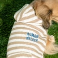 thumbnail image 3 of Oodles Tan Human Walker Striped Spring Bubble Hem Dog Hoodie, XS, 3 of 11