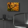 thumbnail image 5 of Epic Art 'Portland Japanese Garden' by Mike Jones, Acrylic Glass Wall Art, 16"x12", 5 of 8