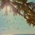 thumbnail image 5 of Chilfamy  Palm Tree Shower Curtain, Sunset Tropical Beach Dusk on Pacific Ocean Vintage Exotic Trees Landscape Print, Cloth Fabric Bathroom Decor Set with Hooks, Green Brown White, 5 of 7
