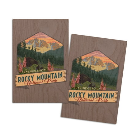 

Rocky Mountain National Park Colorado Trail Ridge Rd Bear and Spring Flowers Contour (4x6 Birch Wood Postcards 2-Pack Stationary Rustic Home Wall Decor)