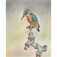 thumbnail image 2 of Liama, Lily 12x14 White Modern Wood Framed Museum Art Print Titled - Glory Bird II, 2 of 4