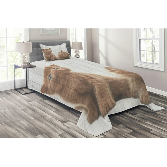 Ambesonne Animal Quilted Coverlet 2 Pcs, Kitten, Twin Size, Caramel White