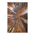 thumbnail image 1 of Tapiz de pared 3D con diseño de árbol, tela de poliéster, arte natural, para decoración de pared norte, 1 of 9
