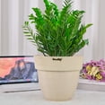 thumbnail image 3 of Greenship GB-ON30PC-2 12 in. Cone Indoor & Outdoor Planter Pot with Drainage Hole - LightGrey, Pack of 2, 3 of 5