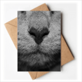 thumbnail image 1 of Animaux Chat Photo Photo Cartes de Voeux Vous Êtes Invités invitations, 1 of 3