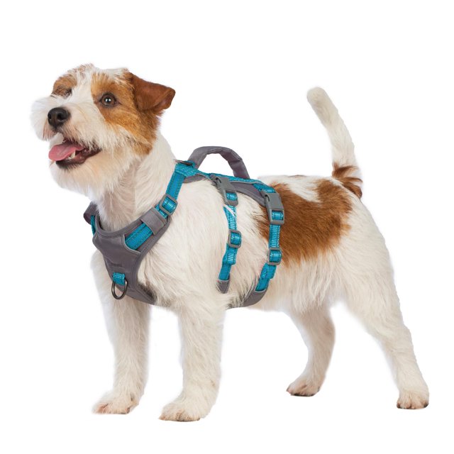 Huntboo Reflective Dog Harness with Handle, Escape Proof, No Slip, Breathable, Lightweight, Adjustable Lift Harness for Small, Medium, and Large Dogs Walking, Training, and Running Gear(Teal Blue,XS)