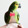 thumbnail image 4 of unbranded Pañales Para Loros En Tejido De Rosa, Transpirable Y Para Vuelo, 4 of 6