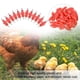 thumbnail image 3 of 50 bebederos de agua para pollos, patos, gallinas y aves de corral de PVC de 3/4", 3 of 11