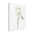 thumbnail image 2 of Trademark Fine Art 'Avian Impressions I' Canvas Art by June Erica Vess, 2 of 4