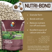Earth Science Fast Acting Gypsum, 25 Lbs