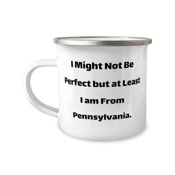 Best Pennsylvania Gifts, I Might Not Be Perfect but at Least I am From Pennsylvania, Funny Holiday 12oz Camper Mug From